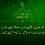 اے صبا مصطفٰی(صلی اللہ علیہ وآلہ وسلم ) سے کہہ دینا غم کے مارے سلام کہتے ہیں