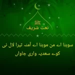 شاہِ کونین کی ہر ادا نور ہے